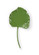 Wildwood (General) Full Leaf Palm in Green Enamel (460|301937)