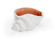 Wildwood (General) Shell in White/Coral Glaze (460|301685)