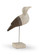Wildwood Shorebird in White/Brown (460|300990)