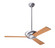 Altus 42''Ceiling Fan in Brushed Aluminum (201|ALT-BA-42-MP-NL-004)