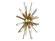 Palisades Ave. Four Light Wall Sconce in Aged Brass With Champagne Glass (192|HF8204-AB)