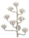 Agave Americana Collection Eight Light Wall Sconce in Contemporary Silver Leaf (142|5000-0105)