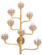 Agave Americana Collection Eight Light Wall Sconce in Dark Contemporary Gold Leaf (142|5000-0058)