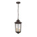 Eldrick Two Light Outdoor Hanging Lantern in Powder Coated Bronze (59|4643-PBZ)