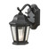 Martinsville One Light Outdoor Wall Lantern in Black (1|OL5900BK)