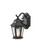 Martinsville One Light Outdoor Wall Lantern in Black (1|OL5900BK)