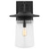 Tybee One Light Outdoor Wall Lantern in Black (1|8808901-12)