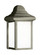 Mullberry Hill One Light Outdoor Wall Lantern in Pewter (1|8788-155)