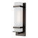 Alban One Light Outdoor Wall Lantern in Antique Bronze (1|8520701EN3-71)