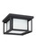 Hunnington Two Light Outdoor Flush Mount in Black (1|79039-12)