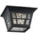Herrington Two Light Outdoor Flush Mount in Black (1|78131-12)