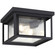 Hunnington Two Light Outdoor Flush Mount in Black (1|78027-12)