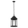 Sevier One Light Outdoor Pendant in Black (1|6238701-12)