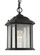 Kent One Light Outdoor Semi-Flush Convertible Pendant in Oxford Bronze (1|60029-746)