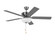 Linden 52''Ceiling Fan in Brushed Steel (1|5LDDC52BSD)