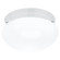 Webster Two Light Flush Mount in White (1|5328-15)