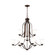 Emmons Nine Light Chandelier in Bronze (1|3139009-710)