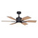 Mayfield 44''Ceiling Fan in Charcoal Black (63|F0104)