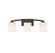 Whitney Three Light Bathroom Vanity in Matte Black (51|8-7710-3-BK)