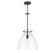 Foster One Light Pendant in Matte Black (51|7-7006-1-89)