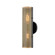 Mikka Two Light Wall Sconce in Patina Brass (67|B5613-PBR/SBK)