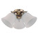 LED Ceiling Fan Light Kit in Antique Brass (88|7784800)