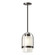 Alcove One Light Outdoor Pendant in Coastal Oil Rubbed Bronze (39|362555-SKT-MULT-14-FD0744)