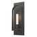 Triomphe One Light Wall Sconce in Natural Iron (39|201070-SKT-20-20-FD0462)