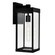 Windsor One Light Outdoor Wall Mount in Black (401|1695W7-1-101)