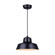 Levi One Light Pendant in Matte Black (387|IPL1095A01BK)