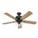 Shady Grove 52''Ceiling Fan in Matte Black (47|52381)