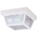 Exteriors White Two Light Flush Mount in White (88|6697600)