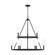 Egmont Nine Light Chandelier in Midnight Black (454|DJC1099MBK)