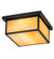 Hyde Park Two Light Flushmount in Craftsman Brown (57|4818)