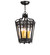 Cardiff Four Light Pendant in Steel (57|238571)