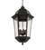 Tiamo Six Light Pendant in Textured Black (57|215098)