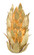 Apollo Collection Seven Light Wall Sconce in Contemporary Gold Leaf/Painted Contemporary Gold (142|5000-0180)