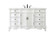 Danville Single Bathroom Vanity in Antique white (173|VF10160AW-VW)