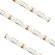 High Density Tape Tape Light in White (303|HTLHD65-WW-16)