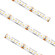 High Density Tape Tape Light in White (303|HTLHD65-WH-16)