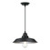 Iron Hill One Light Pendant in Matte Black (88|6132300)