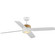 Shaffer Ii 56''Ceiling Fan in Satin White (54|P250097-028-30)