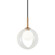 Delcia LED Pendant (423|C60601AGCL)