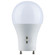 Light Bulb in White (230|S11796)
