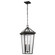 Regence Two Light Outdoor Pendant in Olde Bronze (12|59130OZ)