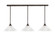 Stem Three Light Linear Pendalier in Bronze (200|48-BRZ-2161)