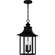 Chancellor Three Light Outdoor Hanging Lantern in Mystic Black (10|CCR1910K)