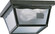 3080 Ceiling Mounts Two Light Ceiling Mount in Black (19|3080-9-15)