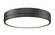 Algar LED Flush Mount in Matte Black (224|1006F16-MB-LED)