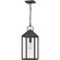 Thorpe One Light Outdoor Hanging Lantern in Mottled Black (10|TPE1908MB)
